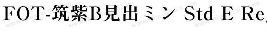 FOT-筑紫B見出ミン Std E Regular字体转换